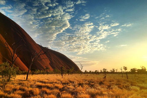 Highlights Of Uluru Including Sunrise And Breakfast - South Australia Travel 5