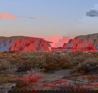 3-Day Uluru Camping Tour from Alice Springs Including Kata Tjuta and Kings Canyon - South Australia Travel