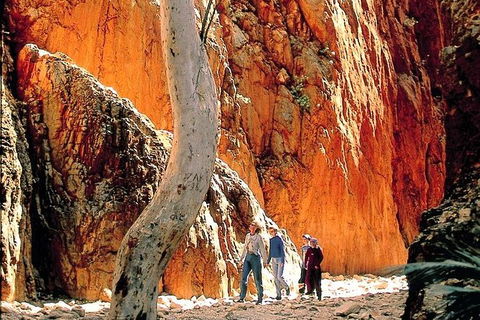 West MacDonnell Ranges Day Trip From Alice Springs - South Australia Travel 7