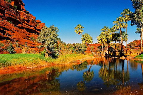 Palm Valley 4WD Day Tour - South Australia Travel 0