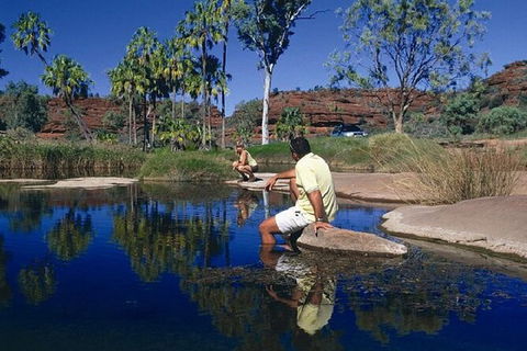 Palm Valley 4WD Day Tour - South Australia Travel 3