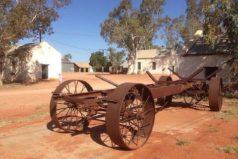 Palm Valley 4WD Day Tour - South Australia Travel 2