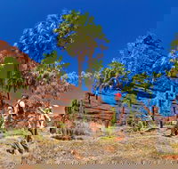 Palm Valley 4WD Tour from Alice Springs - South Australia Travel