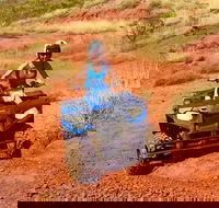 Aussie Outback Air and Land Tour Including Quad Bike Ride - South Australia Travel