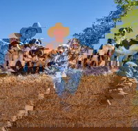 Skip-the-Line Katherine Outback Experience Show Ticket - South Australia Travel