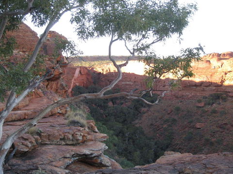 3-Day Uluru And Kings Canyon Camping Experience From Alice Springs Including Outback BBQ Dinner - South Australia Travel 1