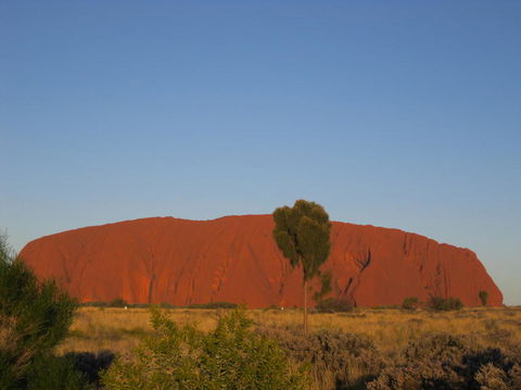 3-Day Uluru And Kings Canyon Camping Experience From Alice Springs Including Outback BBQ Dinner - South Australia Travel 4