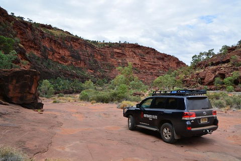 Palm Valley And Hermannsburg 1 Day 4WD Tour - South Australia Travel 1