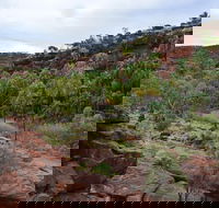Palm Valley and Hermannsburg 1 Day 4WD Tour - South Australia Travel
