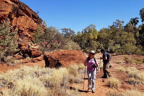 Palm Valley And Hermannsburg 1 Day 4WD Tour - South Australia Travel 5