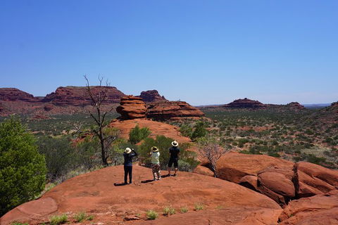 Palm Valley And Hermannsburg 1 Day 4WD Tour - South Australia Travel 2