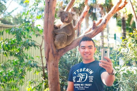 All Inclusive Full-Day Blue Mountains Trip From Sydney - South Australia Travel 1