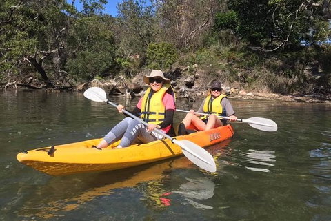 Paddle In Paradise - 4 Hours Double Kayak Hire - South Australia Travel 6