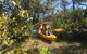 Paddle In Paradise - 4 Hours Double Kayak Hire - thumb 5