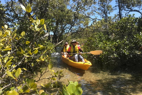 Paddle In Paradise - 4 Hours Double Kayak Hire - South Australia Travel 5