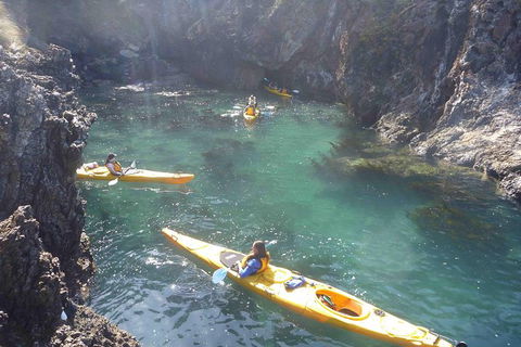 Batemans Bay Full Day Sea Kayak Tour With Beach Picnic Lunch - South Australia Travel 5