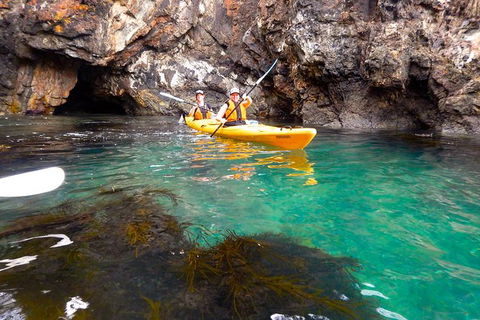 Batemans Bay Full Day Sea Kayak Tour With Beach Picnic Lunch - South Australia Travel 2