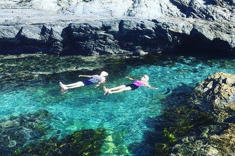 Batemans Bay Full Day Sea Kayak Tour With Beach Picnic Lunch - South Australia Travel 6