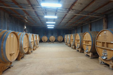 Hunter Valley Private Tour Including Wine, Chocolate, Cheese, Vodka, Gin Tasting - South Australia Travel 6