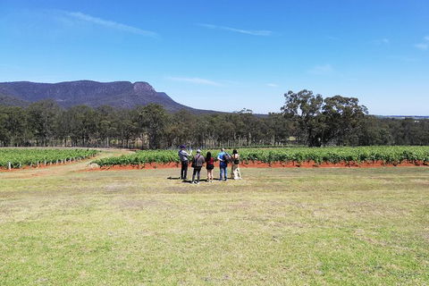 Hunter Valley Private Tour Including Wine, Chocolate, Cheese, Vodka, Gin Tasting - South Australia Travel 4