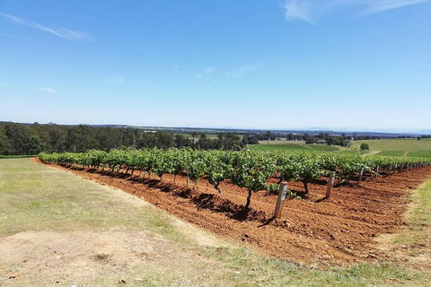 Hunter Valley Private Tour Including Wine, Chocolate, Cheese, Vodka, Gin Tasting - South Australia Travel 16