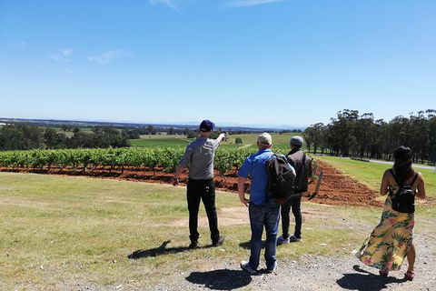 Hunter Valley Private Tour Including Wine, Chocolate, Cheese, Vodka, Gin Tasting - South Australia Travel 13
