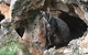 Inside The Greater Blue Mountains World Heritage - A Private Wildlife Safari Overnight - thumb 1