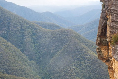 Inside The Greater Blue Mountains World Heritage - A Private Wildlife Safari Overnight - South Australia Travel 19