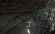 Inside The Greater Blue Mountains World Heritage - A Private Wildlife Safari Overnight - thumb 45