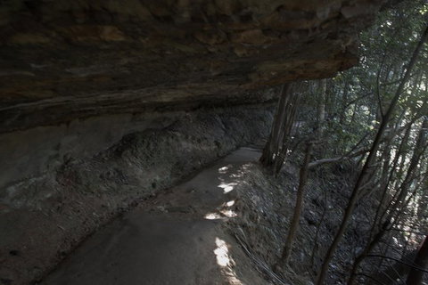 Inside The Greater Blue Mountains World Heritage - A Private Wildlife Safari Overnight - South Australia Travel 45