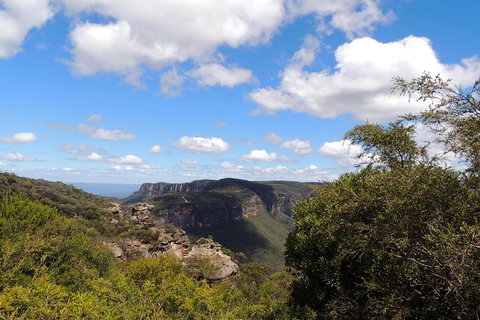 Inside The Greater Blue Mountains World Heritage - A Private Wildlife Safari Overnight - South Australia Travel 18