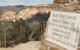 Inside The Greater Blue Mountains World Heritage - A Private Wildlife Safari Overnight - thumb 42