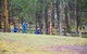 Inside The Greater Blue Mountains World Heritage - A Private Wildlife Safari Overnight - thumb 39