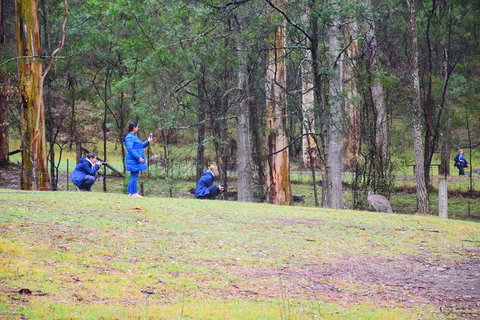 Inside The Greater Blue Mountains World Heritage - A Private Wildlife Safari Overnight - South Australia Travel 39