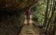 Inside The Greater Blue Mountains World Heritage - A Private Wildlife Safari Overnight - thumb 17