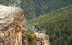 Inside The Greater Blue Mountains World Heritage - A Private Wildlife Safari Overnight - thumb 32