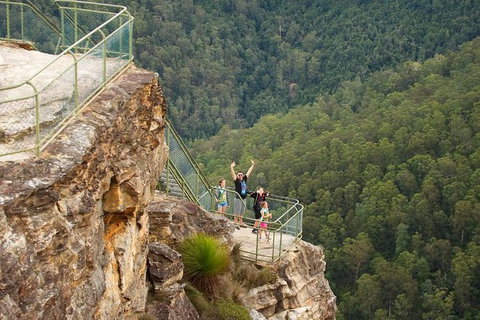 Inside The Greater Blue Mountains World Heritage - A Private Wildlife Safari Overnight - South Australia Travel 32