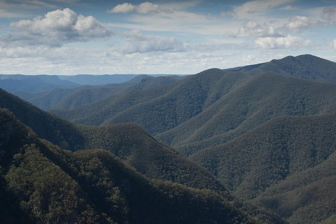 Inside The Greater Blue Mountains World Heritage - A Private Wildlife Safari Overnight - South Australia Travel 48