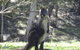 Inside The Greater Blue Mountains World Heritage - A Private Wildlife Safari Overnight - thumb 16