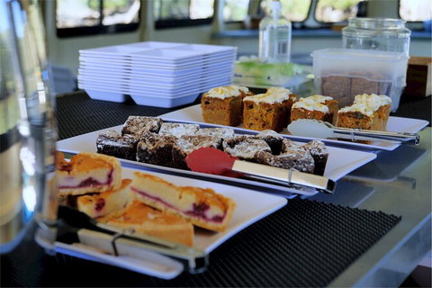 Brunswick Heads Rainforest Eco-Cruise - South Australia Travel 4