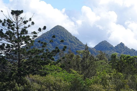 Brunswick Heads Rainforest Eco-Cruise - South Australia Travel 3