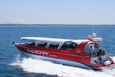 Whale Watching Jervis Bay - South Australia Travel 1