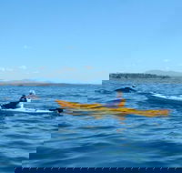 Whale Watching by Sea Kayak in Batemans Bay - South Australia Travel