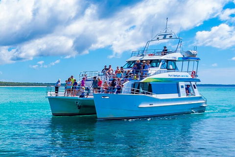 Jervis Bay Whale Watching Tour - South Australia Travel 2