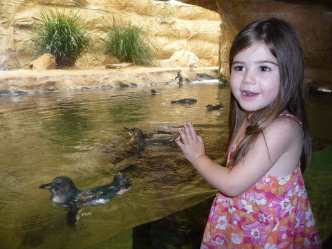 WILD LIFE Sydney Entrance Ticket - South Australia Travel 2