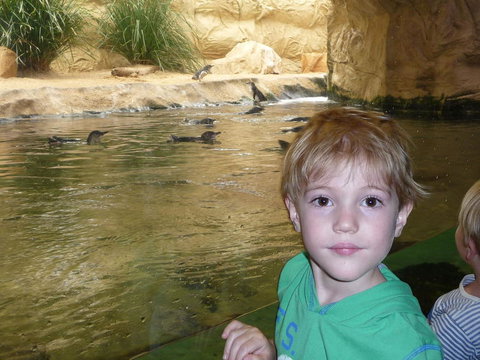 WILD LIFE Sydney Entrance Ticket - South Australia Travel 5