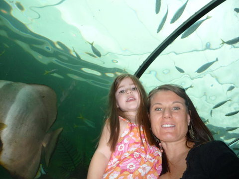 WILD LIFE Sydney Entrance Ticket - South Australia Travel 4
