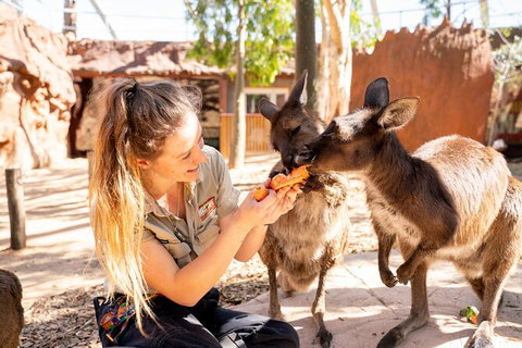 WILD LIFE Sydney Entrance Ticket - South Australia Travel 18