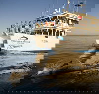 Jervis Bay Dolphin Watch Cruise - South Australia Travel