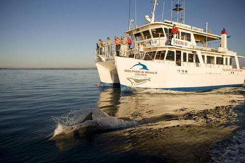 Jervis Bay Dolphin Watch Cruise - South Australia Travel 0